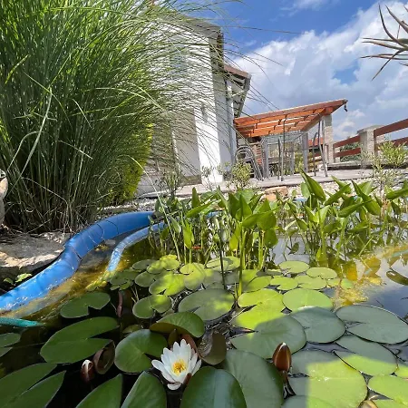 Haus Cerina Catez Brezice * Krska Vas