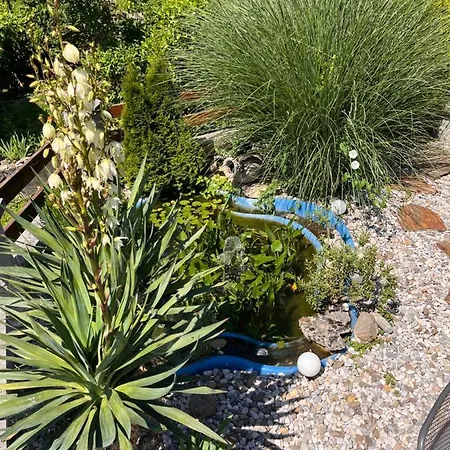 Haus Cerina Catez Brezice Holiday home